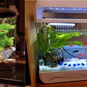 Most Creative Fish Tank Decoration Ideas | DIY Aquarium decor