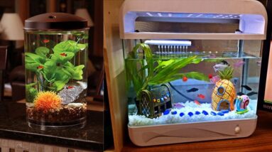 Most Creative Fish Tank Decoration Ideas | DIY Aquarium decor