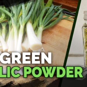 Never Waste Your Garlic Tops Again! Green Garlic Powder Recipe