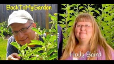Overcoming Garden Disasters with Holly Baird