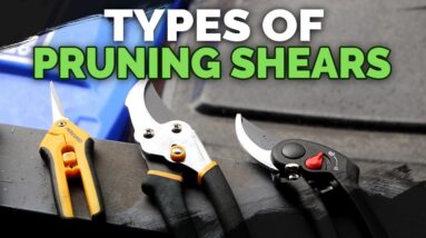 Pruning Shears Explained: Choose the Best Pruners For Your Garden