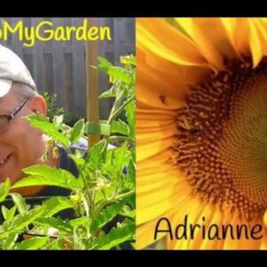 BTMG 080: The Gardener’s Voice with Adrianne Denise  Read more: http://backtomygarden.com/podcast/