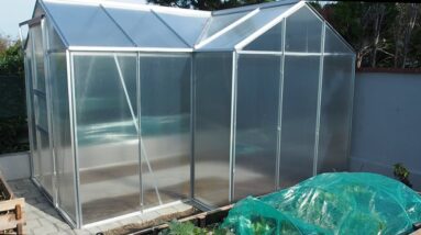 Setting Up A Greenhouse for under 500$