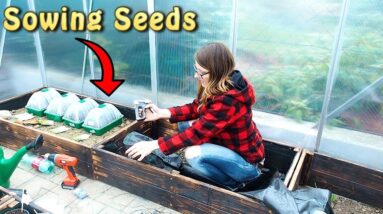 Sowing Seeds 2019 and early GARDENING Tasks in Springtime