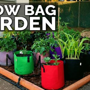 Start a Grow Bag Garden and Water It EASILY
