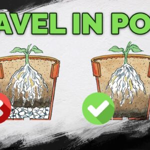 STOP Putting Gravel At The Bottom Of Your Pots!