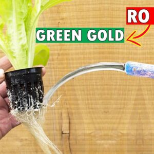TRICK TO RE-USE RO WASTE WATER | EASY DIY HYDROPONIC SYSTEM FOR GROWING GREEN LEAFY VEGETABLES