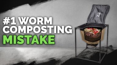 The #1 Vermicomposting Mistake You're Making!