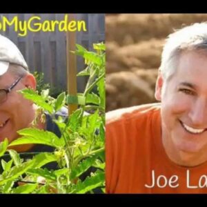 The Dream Of Growing A Greener World with Joe Lamp'l