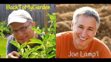 The Dream Of Growing A Greener World with Joe Lamp'l