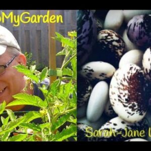 The Greedy Gardener with Sarah-Jane Watkinson