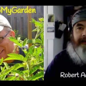 The Raw Vegan Gardener with Robert Adjutant