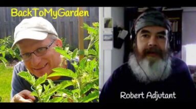 The Raw Vegan Gardener with Robert Adjutant