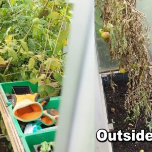 This is why you want to have a greenhouse