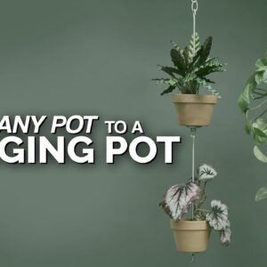 Turn Any Pot Into a Hanging Pot! 🤯