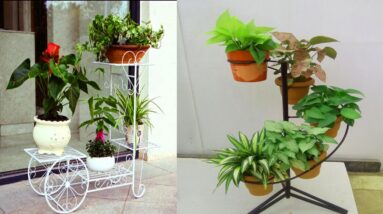 Unique Indoor Flower Pot Stands | Stylish Indoor Planters