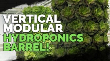 Vertical Hydroponics: Awesome Modular Barrel System!