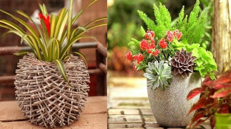 Very Creative Container Gardening ideas in 2021