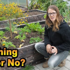 What is mulching and why should YOU do it!