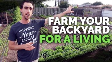 Backyard Farming: 2 Year Market Garden Update of Nature's Always Right Farms
