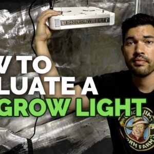 3 Things You MUST Know Before Buying an LED Grow Light 🌱💡