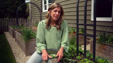 How to Make a Gourmet Salad from Your Kitchen Garden with Nicole Burke of Gardenary