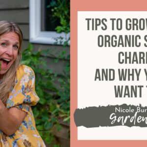 Tips on Growing Giant Organic Swiss Chard and Why You'll Want to Plant This