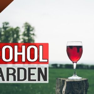 Alcohol for plants and garden | Top 5 Uses of Alcohol on Plants | Beer and Wine Hacks