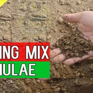 Potting Mix - Best Soil for Plants - Gardening | Best Seed starting mix for Seed Germination