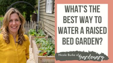 What's the Best Way to Water a Raised Bed Vegetable Garden and How Often Should You Water?