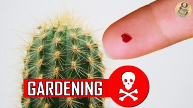 15 Most Useful Gardening Safety Tips -  Precautions and Protection
