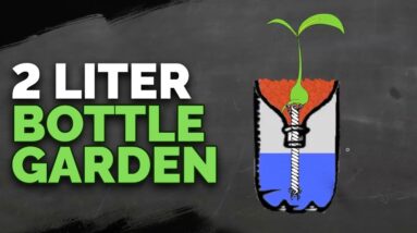 2 Liter Bottle Hydroponics Tutorial by Epic Gardening