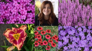 2021 Perennials on Laura's Must-Have List!