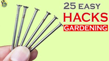 25 MIND BLOWING GARDEN HACKS: Gardening Ideas and Tips - 2018