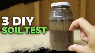 3 DIY Soil Tests You Can Do in Under 24 Hours
