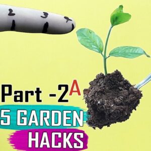 SEED HACKS  PART 1: Seeds & Seedlings Gardening Hacks Compilation by Garden Tips