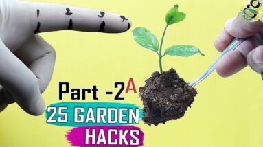 SEED HACKS  PART 1: Seeds & Seedlings Gardening Hacks Compilation by Garden Tips