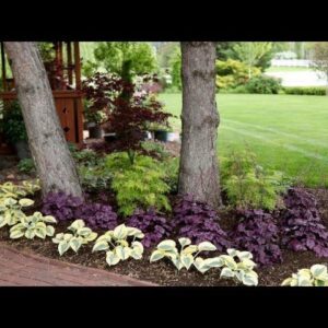 Adding Colorful Plants Under Trees