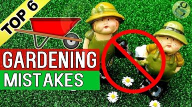 COMMON GARDENING MISTAKES to Avoid with Garden Tips and Solutions in Garden Tips in English