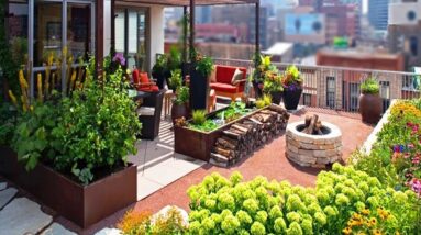Amazing Rooftop Gardening Ideas | Small Rooftop Garden