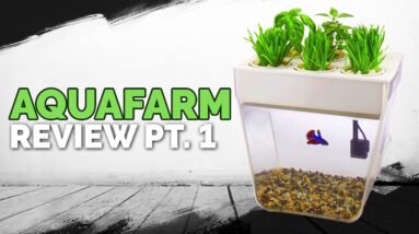 Aquafarm Review Pt. 1