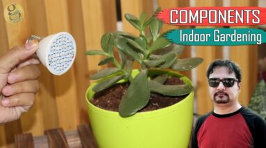 BASIC COMPONENTS OF INDOOR GARDENING | Indoor Garden Ideas