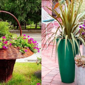 Beautiful Decorative Plants & Pots ideas  for Home