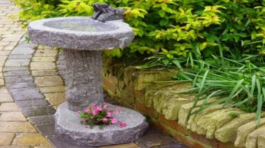 Beautiful DIY Bird Bath and Feeder Design Ideas