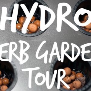 Building a Cheap Hydroponic Herb Garden