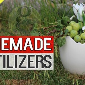 HOMEMADE ORGANIC FERTILIZERS For Plants in Garden Tips | How to make fertilizer at home