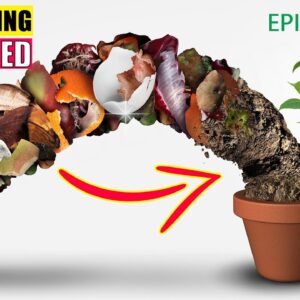 COMPOSTING BASICS AND TYPES OF COMPOSTING