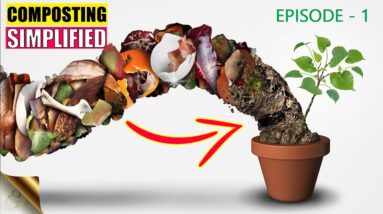 COMPOSTING BASICS AND TYPES OF COMPOSTING