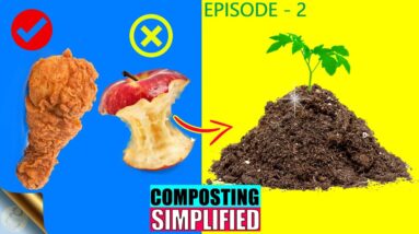 COMPOSTING MATERIALS - WHAT TO ADD AND AVOID IN COMPOST BIN | CN Ratio