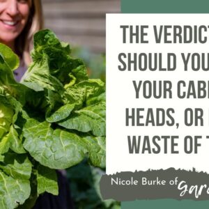The Verdict Is In! Should You Tie Up Your Cabbage Heads, or Is It a Waste of Time?